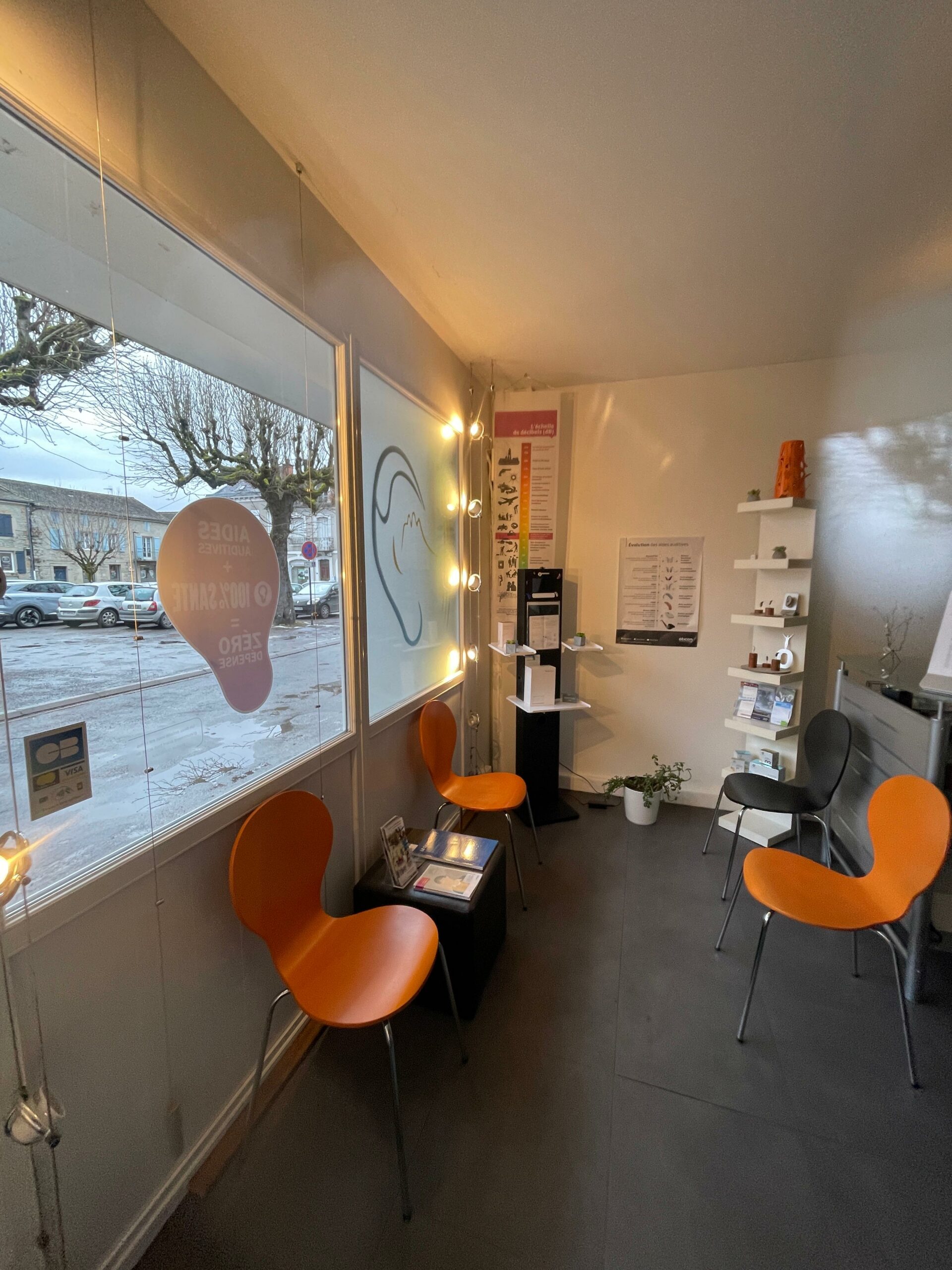 WhatsApp Image 2026-02-11 at 14.00.13